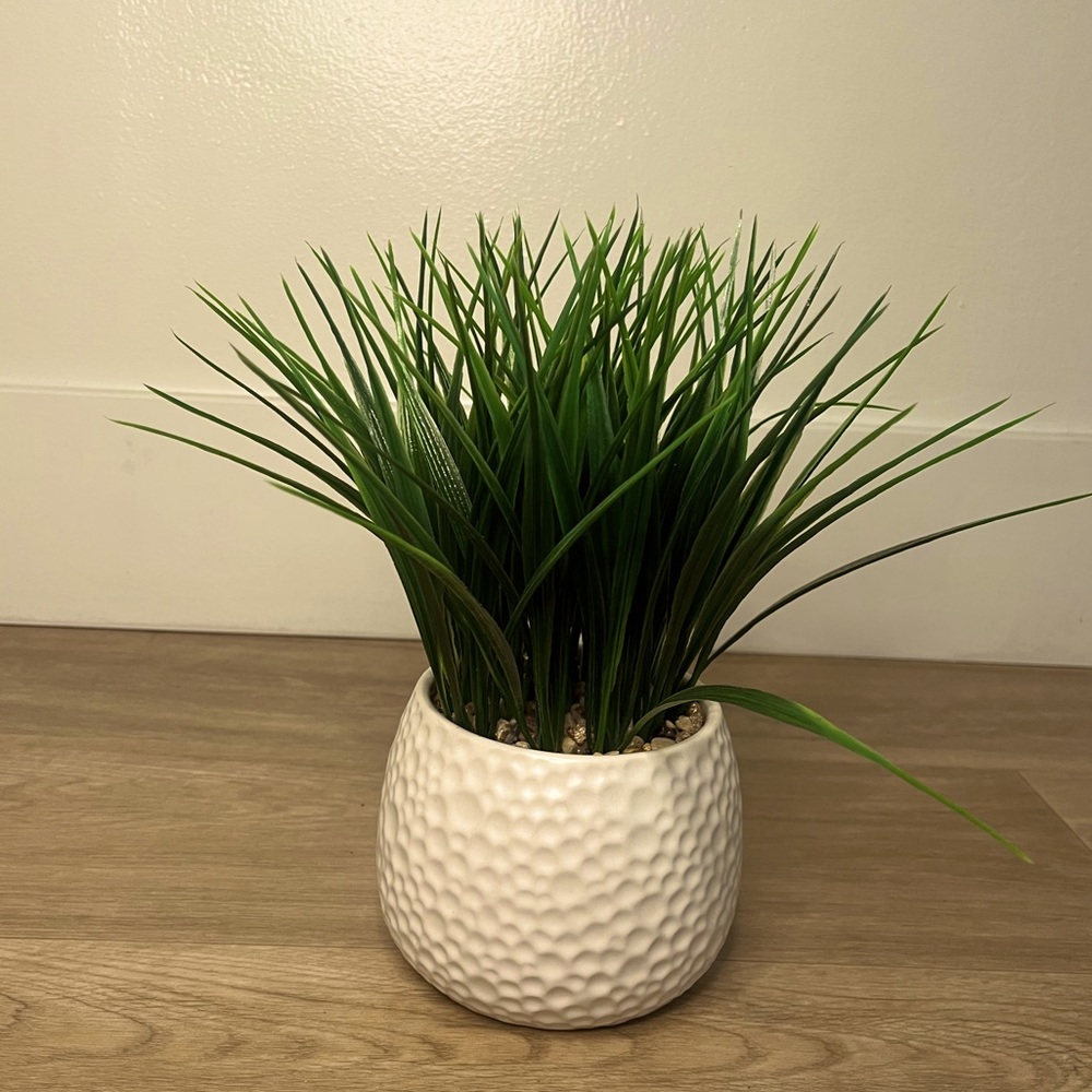 Faux House Plant